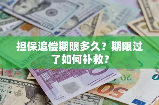 北京担保追偿期限多久？期限过了如何补救？