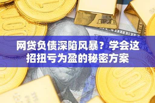 北京网贷负债深陷风暴？学会这招扭亏为盈的秘密方案