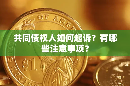 北京共同债权人如何起诉？有哪些注意事项？